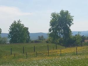 Prodej chaty, Rokycany, Čilina, 17 m2