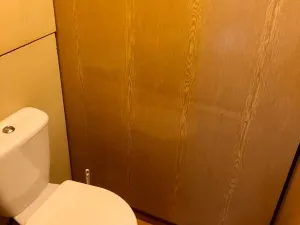 Pronájem bytu 2+1, Olomouc, Zelená, 44 m2