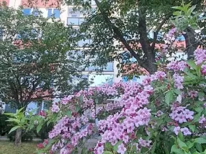 Prodej bytu 3+kk, Praha - Bohnice, Lodžská, 58 m2