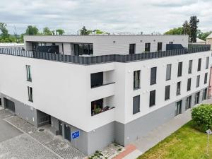 Pronájem bytu 1+kk, Olomouc, Věry Pánkové, 34 m2