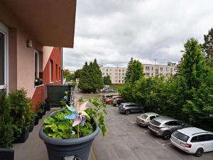 Prodej bytu 3+kk, Plzeň, Žitná, 70 m2