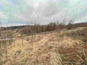 Prodej pozemku, Týn nad Vltavou, 440 m2