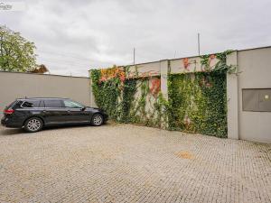 Pronájem kanceláře, Praha - Vinohrady, Fričova, 74 m2