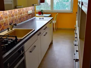 Prodej bytu 3+1, České Budějovice, Fr. Ondříčka, 70 m2