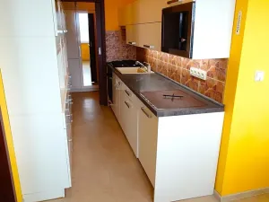 Prodej bytu 3+1, České Budějovice, Fr. Ondříčka, 70 m2