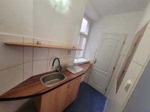 Pronájem bytu 1+kk, Brno, Josefská, 57 m2