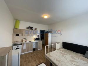Prodej bytu 1+kk, České Budějovice, Plzeňská, 21 m2