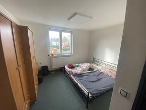 Prodej komerční nemovitosti, Cheb, Kamenická, 250 m2
