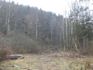 Prodej pozemku, Vyšší Brod, 2894 m2