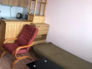 Pronájem bytu 1+kk, Šumperk, Zábřežská, 25 m2
