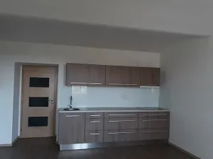 Pronájem bytu 1+kk, Tábor, Hradební, 41 m2
