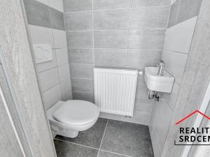 Pronájem bytu 2+1, Palkovice, 69 m2