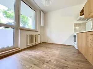 Prodej bytu 1+1, Mikulov, Pod Strání, 36 m2