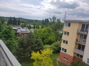 Pronájem bytu 1+kk, Plzeň, Květná, 33 m2