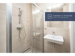 Pronájem bytu 1+kk, Brno, Chaloupkova, 22 m2