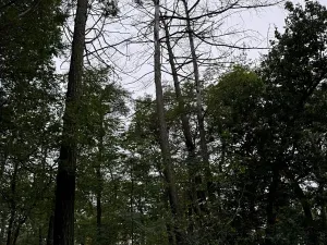 Prodej podílu pozemku, Plaňany, 23569 m2