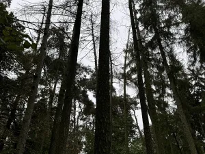 Prodej podílu pozemku, Plaňany, 23569 m2