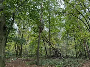 Prodej podílu pozemku, Plaňany, 23569 m2