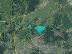 Prodej louky, Střížovice, 9080 m2
