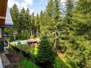 Prodej bytu 2+kk, Harrachov, 57 m2