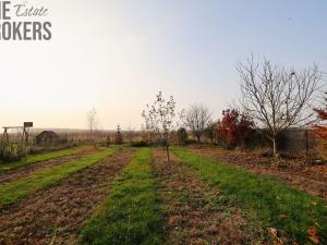 Prodej pozemku, Býkev, 801 m2