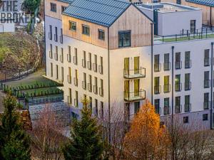Prodej bytu 1+kk, Jablonec nad Nisou - Kokonín, Krkonošská, 51 m2