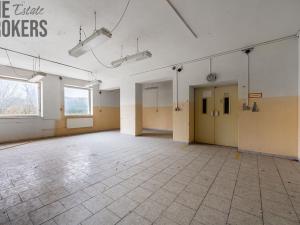 Prodej výrobních prostor, Brodek u Konice, 1815 m2