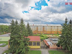 Pronájem bytu 1+1, Horní Slavkov, U Lesoparku, 35 m2