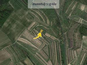 Prodej pole, Velké Pavlovice, 1014 m2