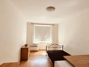 Pronájem bytu 1+kk, Praha - Žižkov, Buchovcova, 24 m2