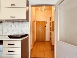 Pronájem bytu 1+kk, Praha - Žižkov, Buchovcova, 24 m2