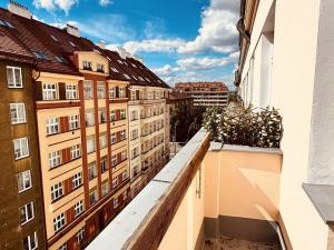 Pronájem bytu 1+kk, Praha - Žižkov, Buchovcova, 24 m2