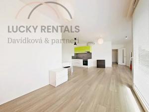 Pronájem bytu 1+kk, Praha - Žižkov, Olgy Havlové, 38 m2