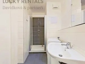 Pronájem bytu 1+kk, Praha - Žižkov, Olgy Havlové, 38 m2