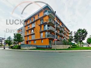 Pronájem bytu 1+kk, Praha - Žižkov, Olgy Havlové, 38 m2