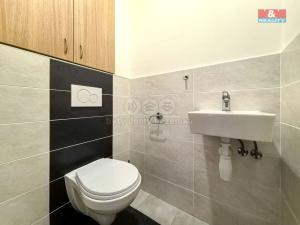 Pronájem bytu 3+kk, Dolní Dobrouč, 64 m2