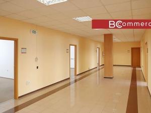 Pronájem kanceláře, Brno, Vídeňská, 383 m2