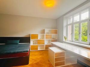 Pronájem bytu 1+kk, Brno, Úvoz, 51 m2