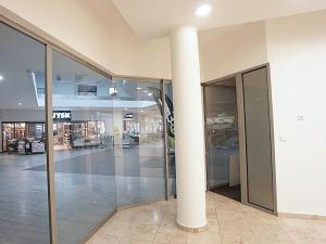 Pronájem obchodního prostoru, Brno, Bidláky, 55 m2