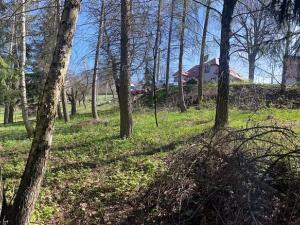 Prodej pozemku pro bydlení, Poniklá, 450 m2