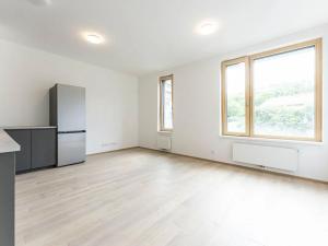 Pronájem bytu 1+kk, Praha - Radlice, U Komína, 31 m2