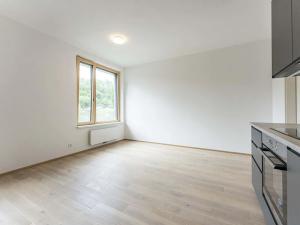 Pronájem bytu 1+kk, Praha - Radlice, U Komína, 31 m2
