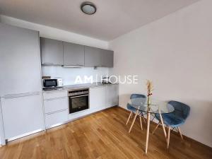Pronájem bytu 1+kk, Praha - Žižkov, Pitterova, 44 m2