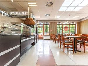 Pronájem restaurace, Teplice, U Nových lázní, 541 m2