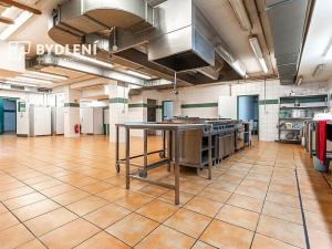 Pronájem restaurace, Teplice, U Nových lázní, 541 m2