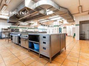 Pronájem restaurace, Teplice, U Nových lázní, 541 m2