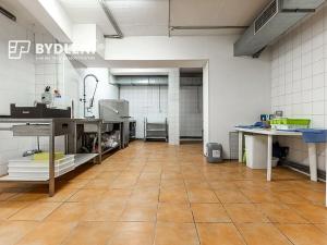 Pronájem restaurace, Teplice, U Nových lázní, 541 m2