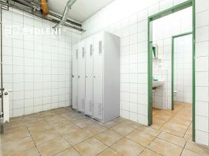 Pronájem restaurace, Teplice, U Nových lázní, 541 m2