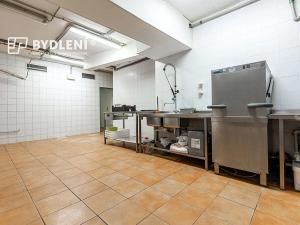 Pronájem restaurace, Teplice, U Nových lázní, 541 m2