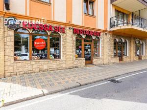 Pronájem restaurace, Teplice, U Nových lázní, 541 m2